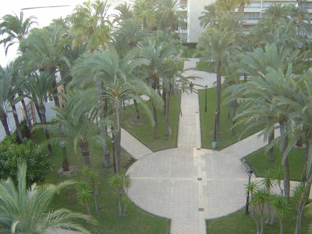 Palmeral De Торрев'єха Екстер'єр фото