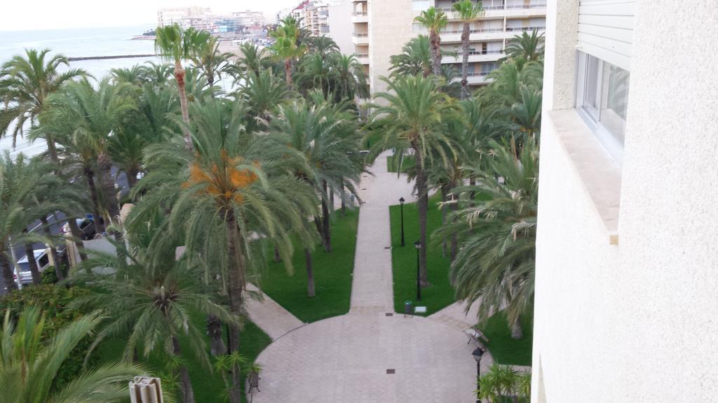 Palmeral De Торрев'єха Екстер'єр фото
